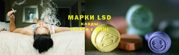 амф Нефтекумск