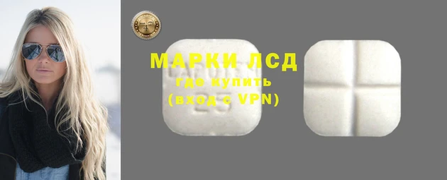 PSILOCYBIN Новозыбков