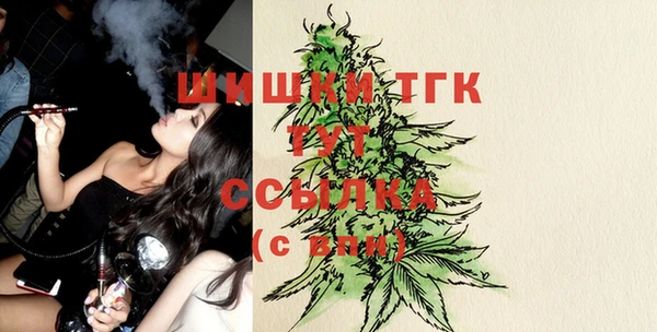 стаф Болхов