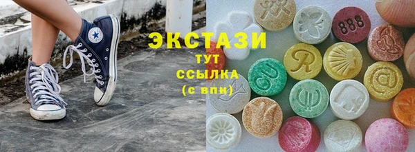 индика Богородицк