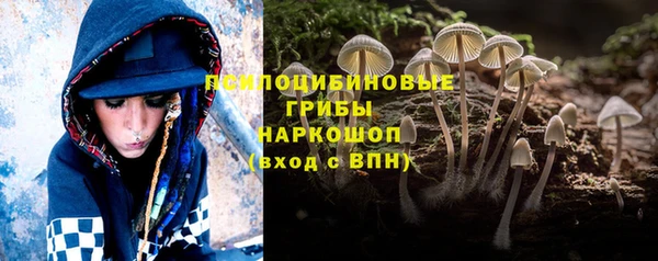 PSILOCYBIN Новозыбков