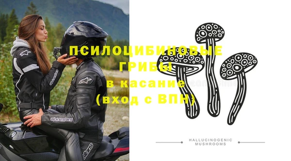 PSILOCYBIN Новодвинск