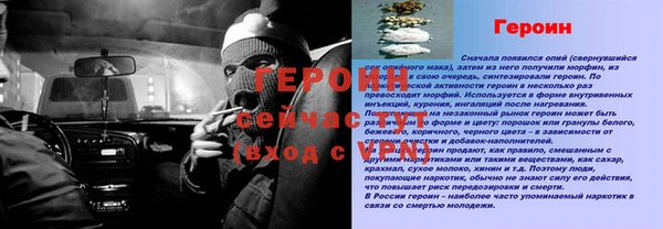 PSILOCYBIN Новодвинск