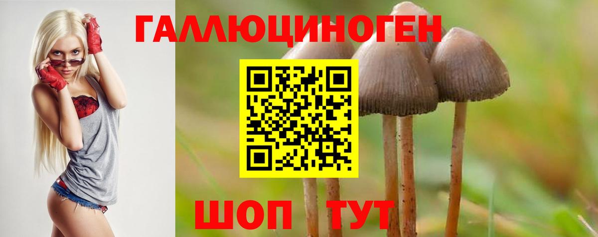 Псилоцибиновые грибы мухоморы  Вход с VPN  Ишимбай 